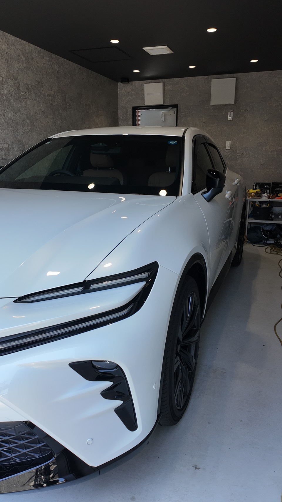 GZOXガラスコーティングミドルグレード 施工車